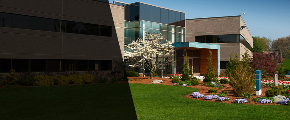 Winterville Landscapers