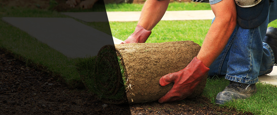 Winterville Landscapers